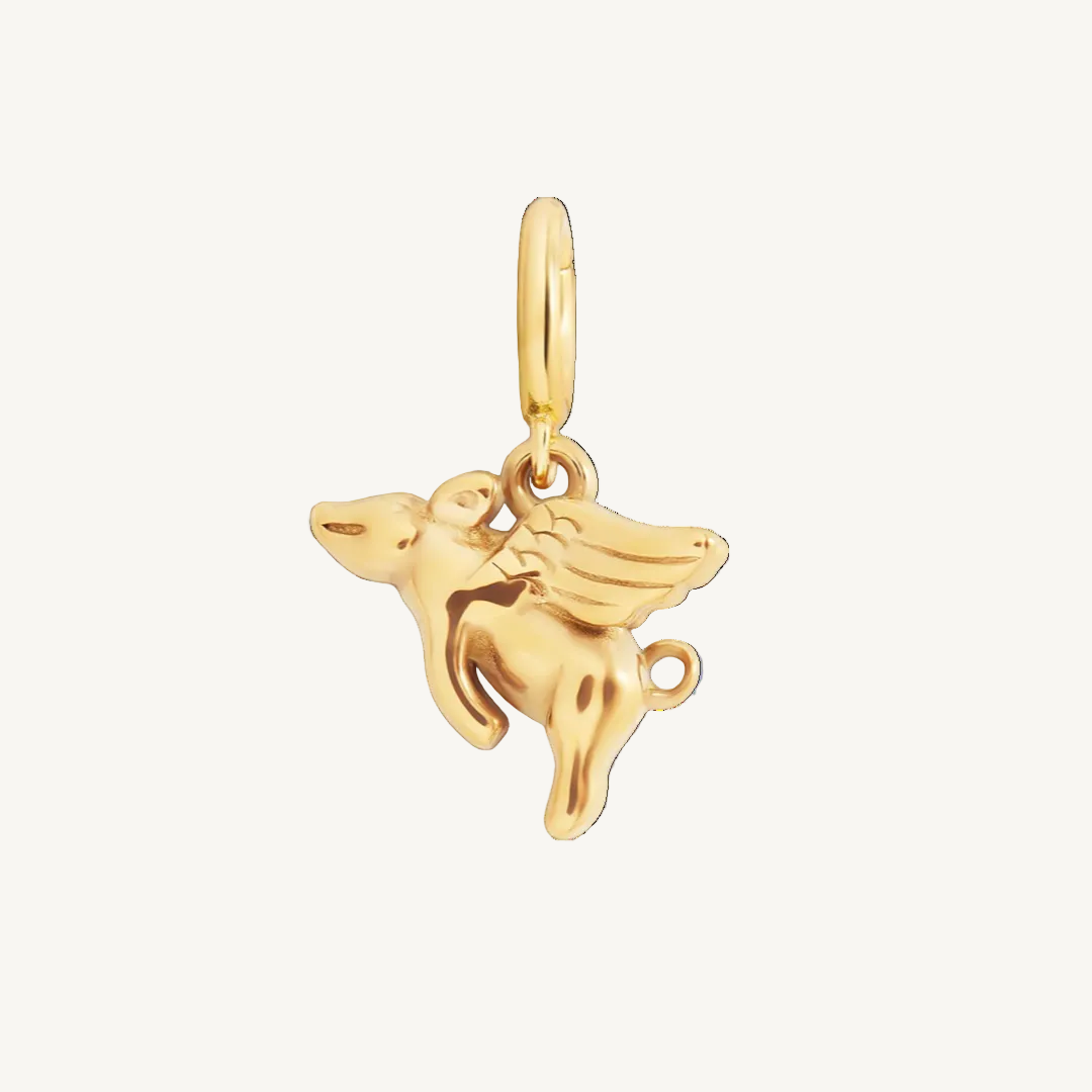 Flying Pig Charm by Seeyoura